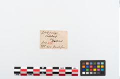 Etikett zu Perlenkette (NHMW-PRAE-024670)